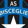 Bisceglie, Dammacco: "Società e spogliatoio le nostre forze"