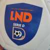 Serie D, Giudice Sportivo: due giornate a Pizzulli, ammenda per la Nocerina