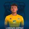 UFFICIALE - Gravina, volto nuovo a centrocampo 