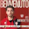 UFFICIALE - Team Altamura, arriva Dibenedetto in difesa 