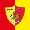 UFFICIALE - Eccellenza, Gallipoli penalizzato di un punto 