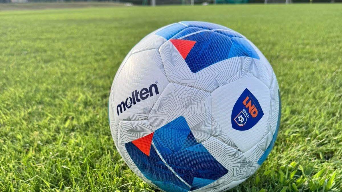 Serie D, le designazioni arbitrali della 20^ giornata