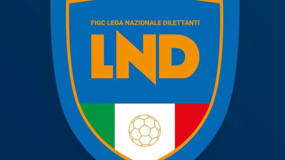 Serie D, definiti i raggruppamenti: Il Girone H parla pugliese. Rappresentanze lucane e campane