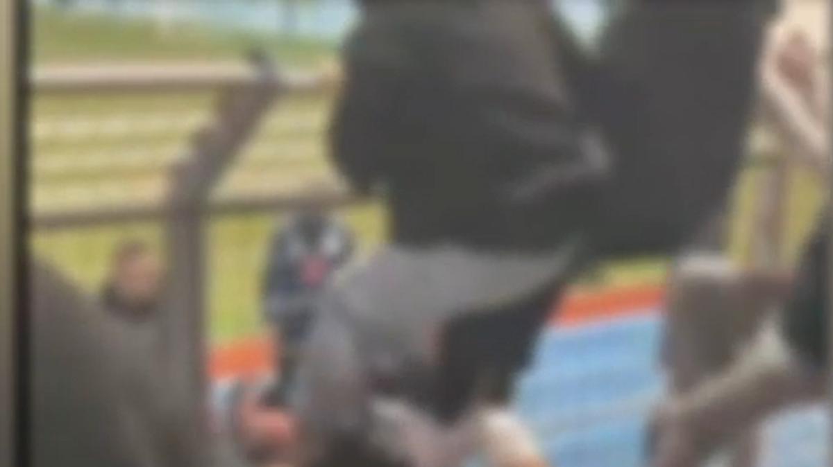 Violenza in Prima Categoria: allenatore del Triggiano in ospedale