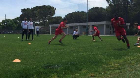 Bari, seduta mattutina: squadra subito in campo dopo il pari di Palermo