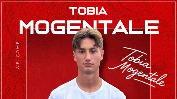 UFFICIALE - Team Altamura, arriva un giocatore dal Vicenza