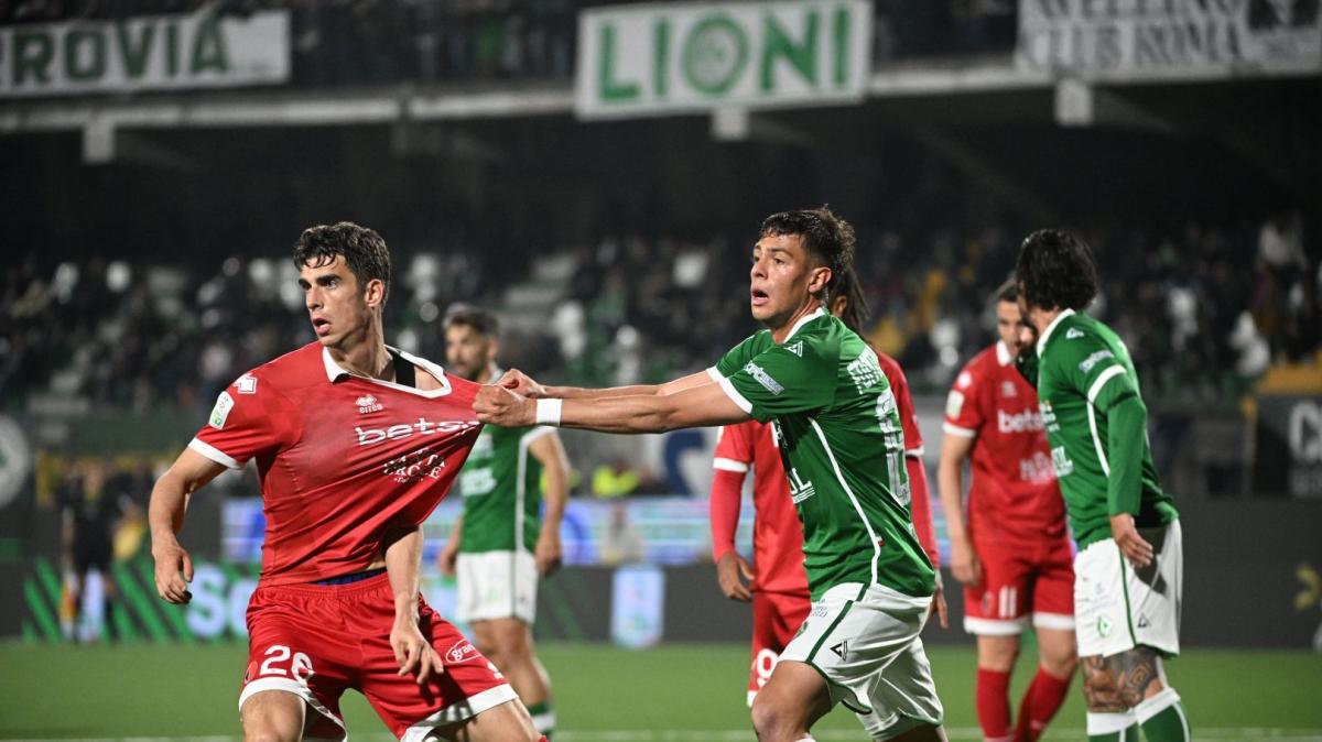 Avellino-Bari 2-0: Besaggio e Palumbo fanno piombare i biancorossi all’inferno