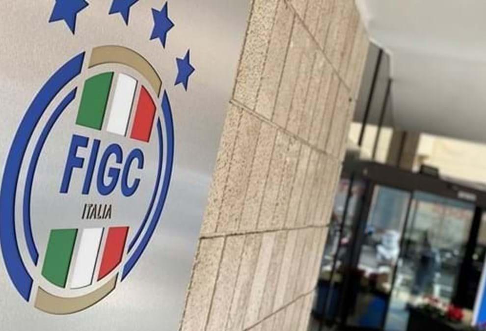 Ripescaggi e riammissioni nei campionati professionistici: ecco i criteri