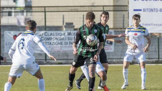 Serie D/H: Il Savoia "vede" i playoff, Bitonto ed Andria condannate a vincere