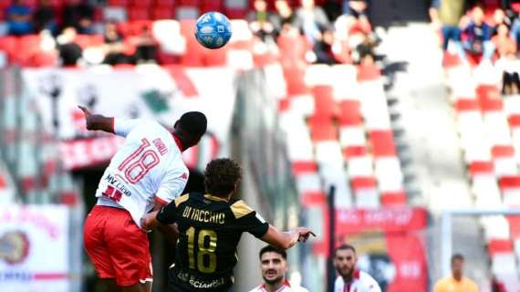 Bari-Ascoli 1-0: tanto pressing, ma la svolta è nei piedi di Sibilli 
