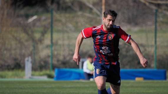 Mauro Bollino