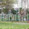Immagine news 67