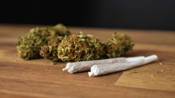 La marijuana. La Juve. E il Cesena che non tornerà mai più in A…