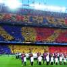 Immagine news 3