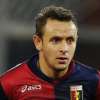 Immagine news 43