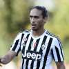 Immagine news 13