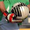 Immagine news 5