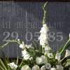 Immagine news 7