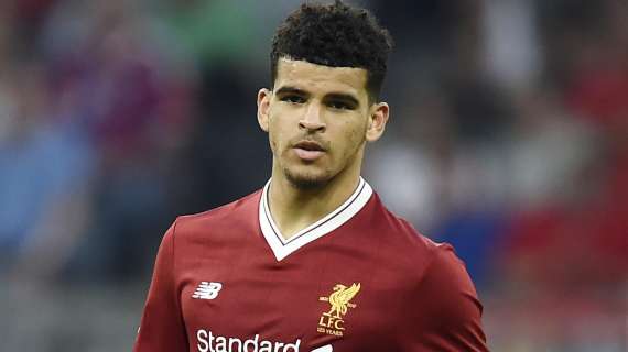 Tottenham, arriva l'attaccante: 70 milioni al Bournemouth per Solanke