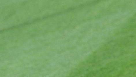 Barça, che sorpresa: Puyol convocato per il Clasico