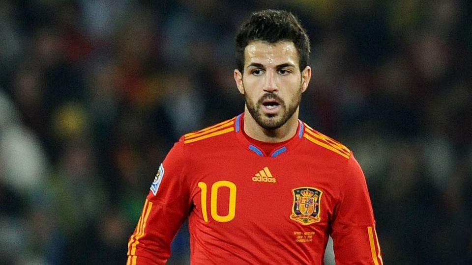 Arsenal, Fabregas fuori 2 settimane