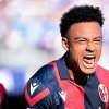 Immagine news 10
