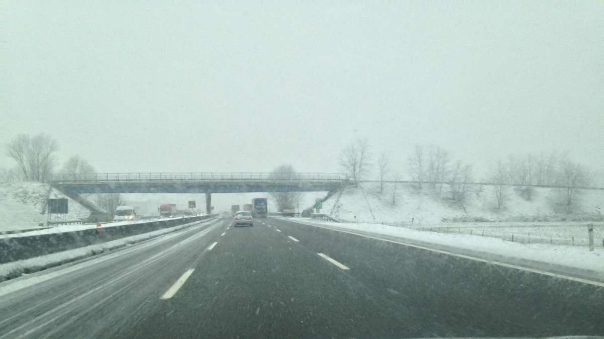 Gli scozzesi guidano a sinistra, incidente in Germania