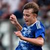 Serie A, le decisioni del giudice sportivo 6a giornata