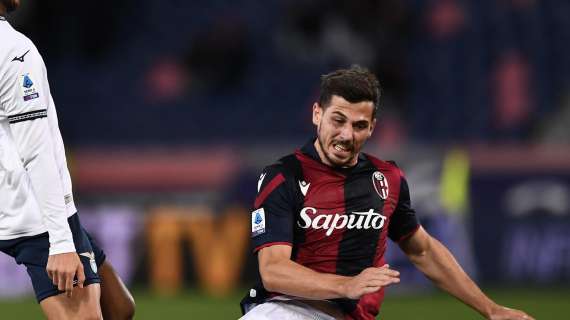 Le probabili formazioni di Bologna-Verona: ritorna Freuler dal 1'