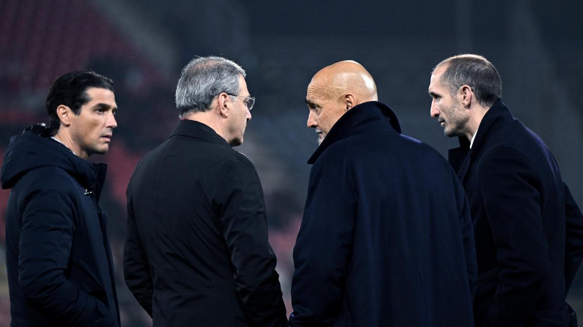 Juventus, Comolli e Chiellini senza freni: “Difficile accettare queste ingiustizie”