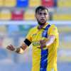Vicenza, colpo in entrata: in arrivo Alessio Tribuzzi ex Frosinone