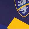 Calciomercato Frosinone - Il riepilogo di tutte le operazioni ufficializzate