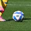 Alcuni club di Serie B sono favorevoli a un ritorno a 22 squadre per l'anno prossimo, con Frosinone, Brescia, Samp e Salernitana salve