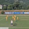 RIVIVI IL LIVE TF Frosinone-Volos 3-0: Finita, successo per i canarini! Le reti di  Cuni, Garritano e un autogol