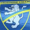 Trattativa Frosinone Calcio, al centro dell'operazione una piattaforma multi-asset: ecco i 4 business in cui opera la società