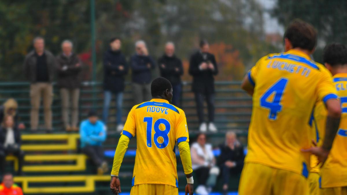 LIVE Primavera | Frosinone - Torino: 1-0. Gran gol di Lorenzo Gori