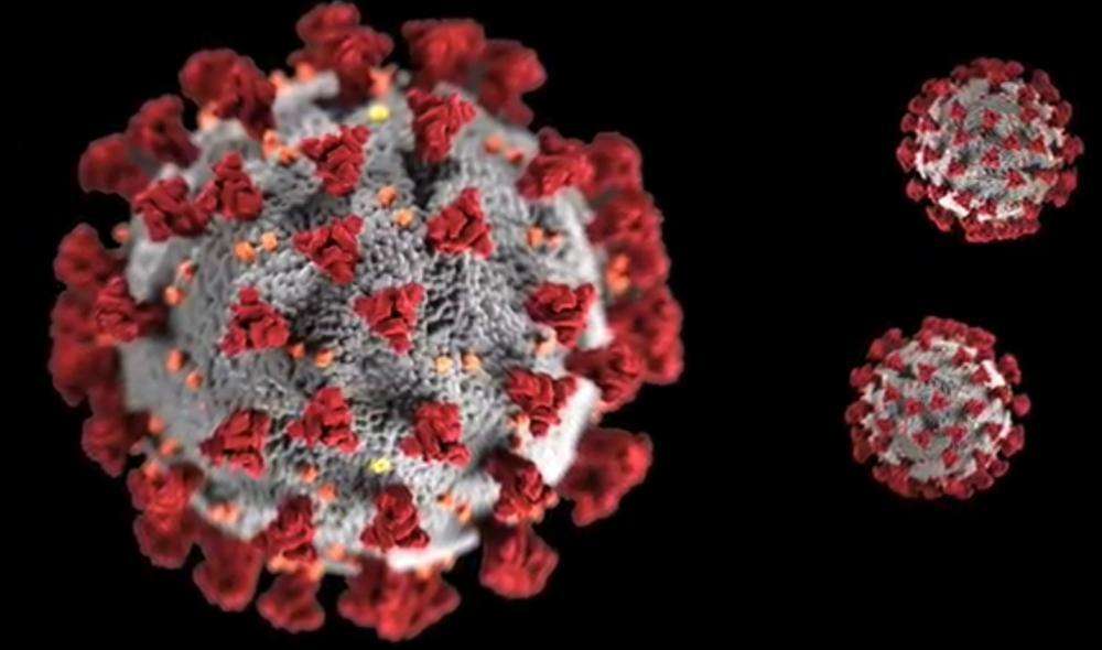 Emergenza Coronavirus - In Ciociaria 2 nuovi cas1, 0 decessi