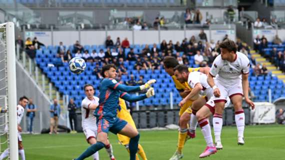 Frosinone-Cittadella: il risultato ha deluso, ma non solo la squadra va sotto esame