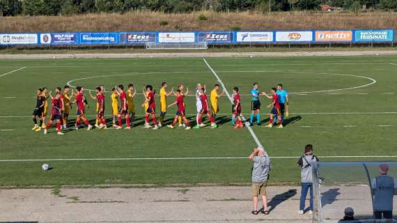 RIVIVI IL LIVE TF  Frosinone-Potenza 1-0: finita! Sene firma il successo dei canarini