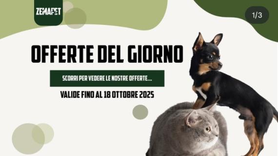 Le Imperdibili "Offerte del Giorno" da Zemapet Frosinone: Sconti validi fino al 18 Ottobre 2025!