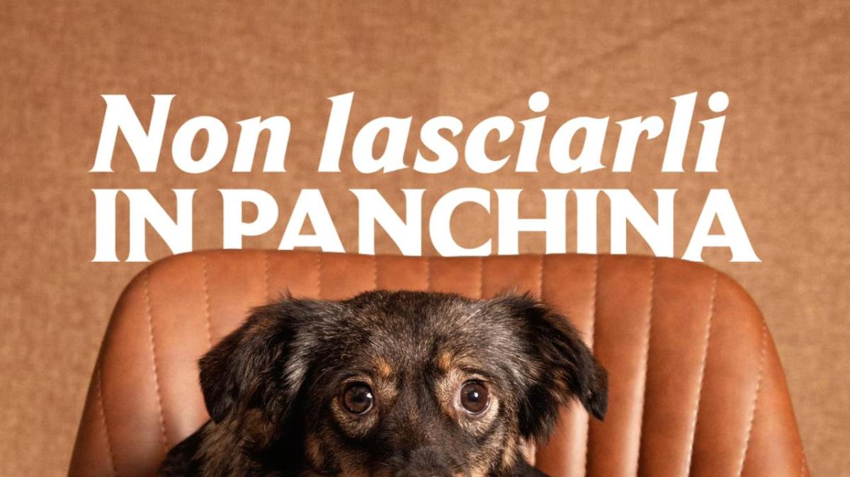 Frosinone calcio e BPF, calendario 2026: Sport, territorio e solidarietà