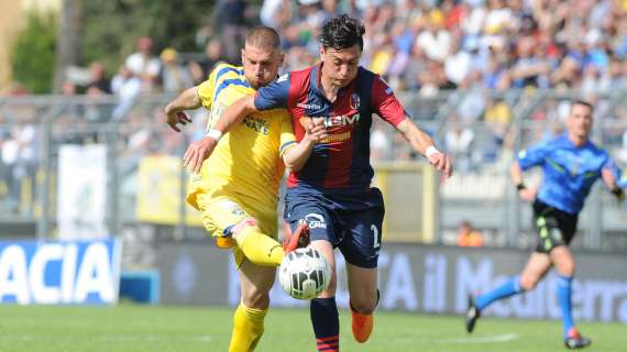 Verso Bologna-Frosinone: il bilancio dei precedenti sorride ai leoni