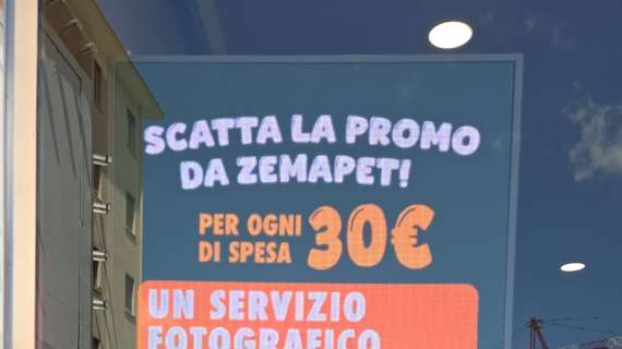 Da Zemapet, negozio per animali a Frosinone, scatta la promo: con una spesa di 30€, il tuo pet diventa una star!