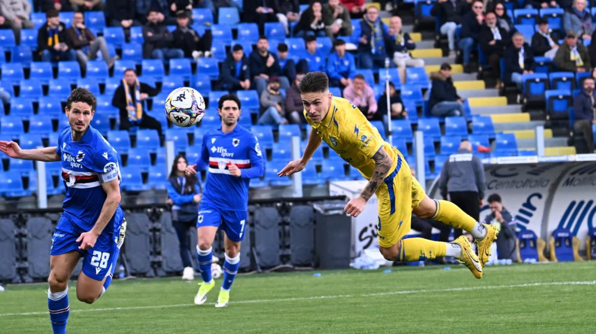 Frosinone-Sampdoria 3-0, le pagelle di TMW sui giallazzurri di Alvini: "Ghedjemis inarrestabile, Raimondo bomber di razza"