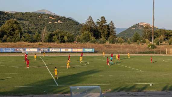 Frosinone-Potenza 1-0: canarini che vincono di misura. Il tabellino