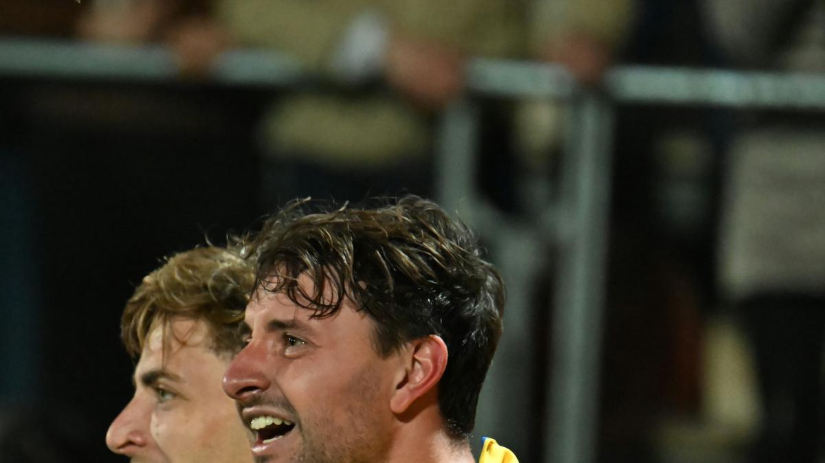 Frosinone-Palermo 1-1: il commento di Stefano Martini 