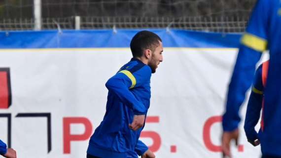 Ferentino Report - Seduta mattutina per il Frosinone, differenziato per quattro canarini