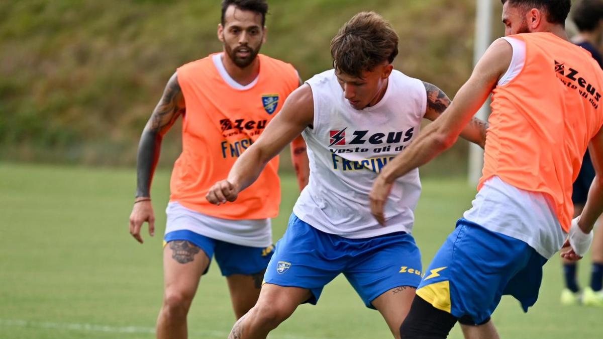 Frosinone-Padova, rebus trequarti: Gelli o Barcella per il dopo-Koutsoupias? Alvini studia la mossa a sorpresa