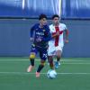 Primavera, Verona-Genoa 1-0: decide Akale, Hellas in zona play-off