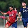 Verona - Cremonese: i precedenti
